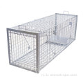 Humane opvouwbare levende dierenval Cage Fox Traps